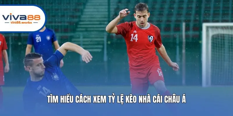 Tìm hiểu cách xem tỷ lệ kèo nhà cái Châu Á