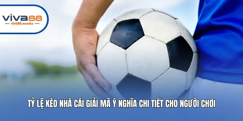 Tỷ Lệ Kèo Nhà Cái Giải Mã Ý Nghĩa Chi Tiết Cho Người Chơi